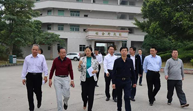 副市長朱蔚蔚蒞臨霸王花食品公司檢查指導工作