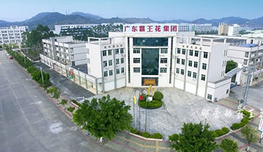 霸王花集團宣傳片