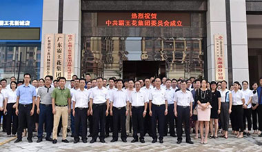 廣東霸王花集團黨委正式成立，“紅色引擎”引領企業行穩致遠
