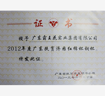 2012年度廣東扶貧濟困紅棉杯銅杯