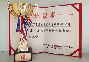 用愛心澆灌“鄉(xiāng)村振興”至美之花——廣東霸王花集團再次被授予廣東扶貧濟困“紅棉杯”銅杯榮譽