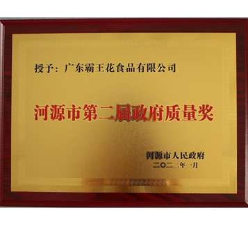 河源市第二屆政府質量獎